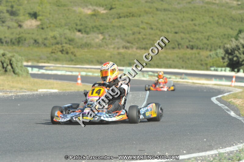 DSC (4130).JPG